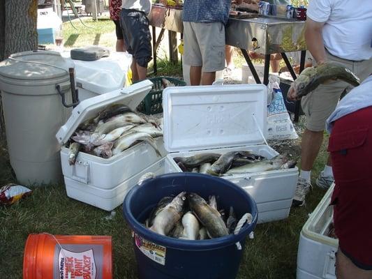 The catch of the day is walleye!