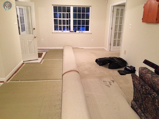 Carpet Cleaning Installation