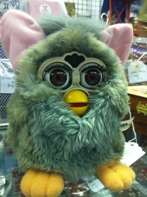 Furby!   Hope your doing well with your new owner!