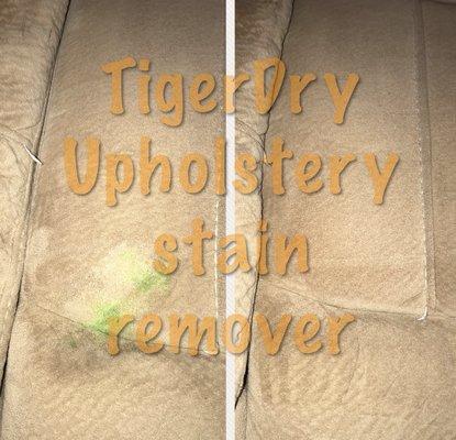 Upholstery stain removal on a Microfiber Sofa