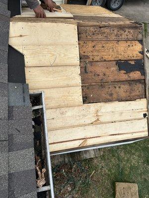 New roof installation- replacing damaged wood with new boards