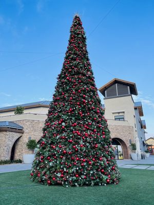 Holidays at the Vineyards