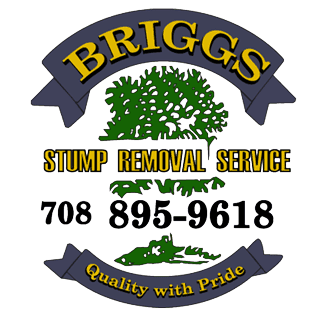 Briggs Pro Stump Removal Service