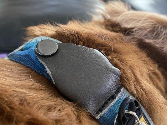 Pet air tags