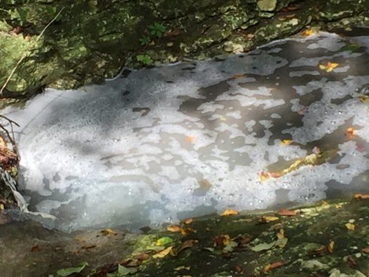 Suds in Williamson Creek after dumping illegal chemical waste 10/7/18