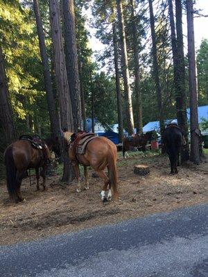 Butte Meadows Mercantile & Resort