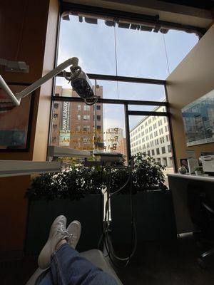 View of office from the patient chair