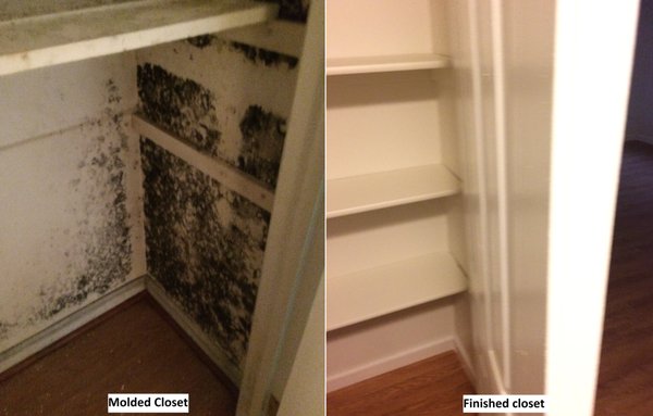 Molded closet