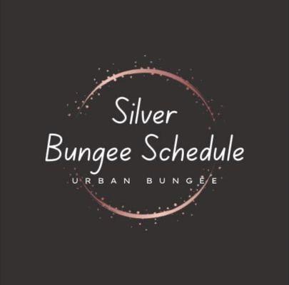 Urban bungee has added a modified bungee class as requested. Class starts August 8th @ 1:30pm. Log onto Urbanbungee.com and claim your spot.