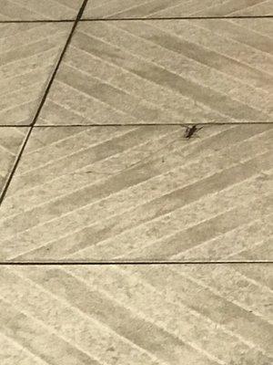 Patient waiting room dirty floor with broken tiles