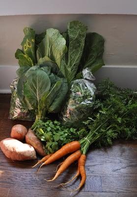 Share 10. sweet potatoes, cilantro, carrots, collards, arugula, mesclun greens, Chinese cabbage.