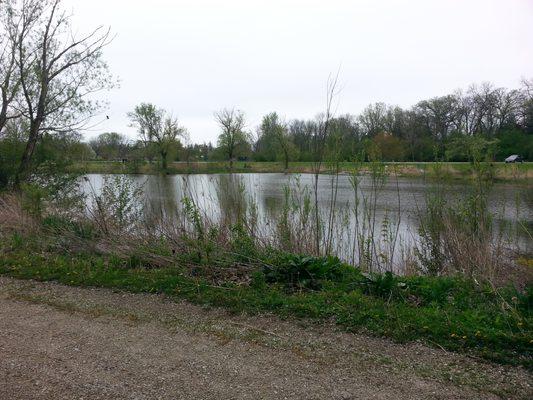 Fishing Pond View From Northeastern Trail