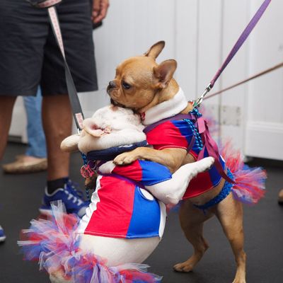 Celebrating their Team France win!