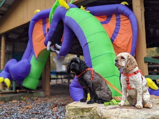 Carter and Cash showing off their "place" at Halloween