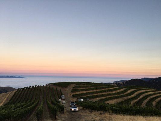 Monterey County Ranch and Vineyard