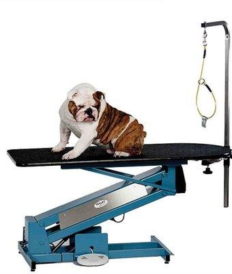 Petlift