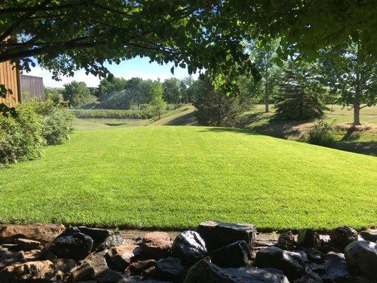 This lawn could be yours.