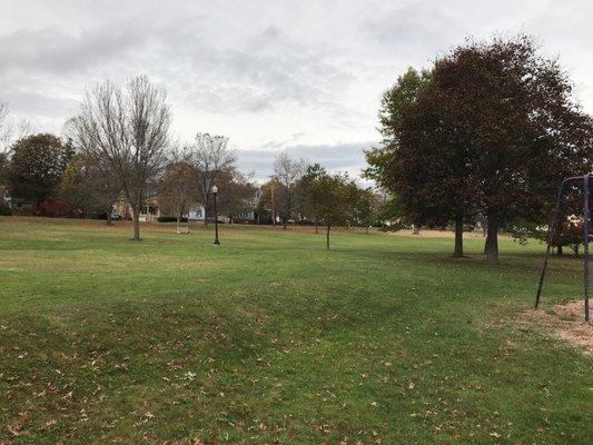 A shot of a small section of the large grassy area