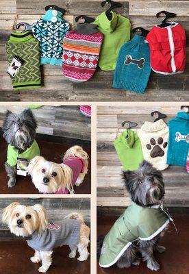 New selection of pet sweaters and coats! Come in and get your pet one today at Yellow City Pet Supply.