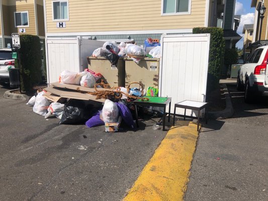 One of the multiple dumpsters that are a smelly eyesore.