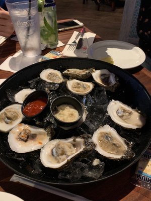 Delicious oysters