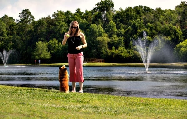 Several dog parks throughout Nocatee