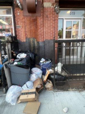 Property at 519 Halsey is a rat cafeteria. The property offers a constant supply of food and poison to the animals attracted to their mess.