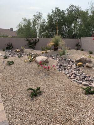 Desert landscaping