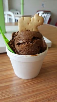 My kiddie cup of double dark chocolate ice cream.  Adorable that they add the "extra touch" of an animal cookie topper!