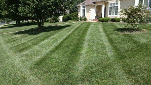 We make your lawn look good!!