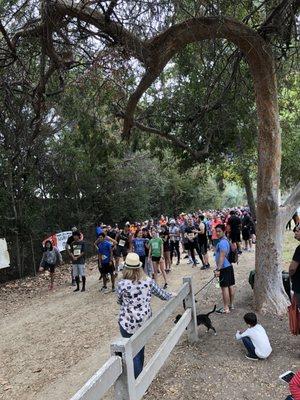 5K Start for Tofurky Turkey Trot 2017