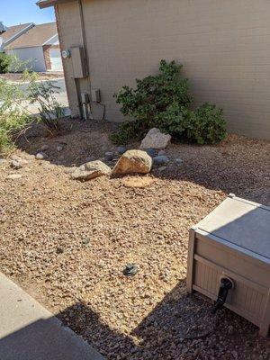 The stump was ground down to the ground.