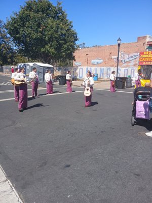 Seafood festival  band