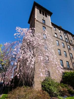 The Towers, 80th Street