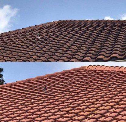 tile roof cleaning