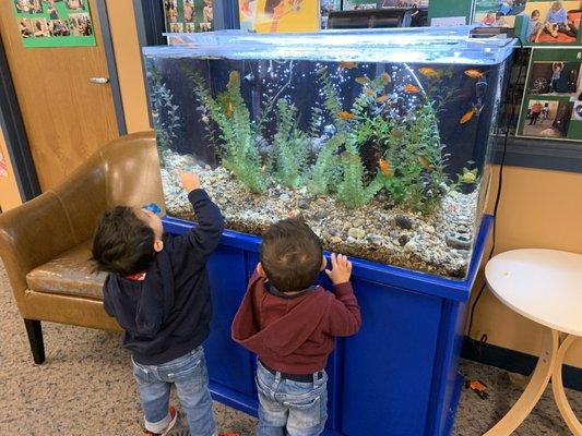 Fish tank at the entrance of the kids section