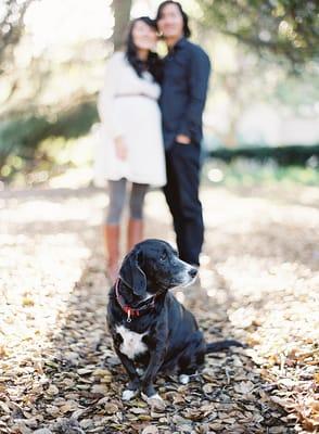 Maternity Session at the Marston House