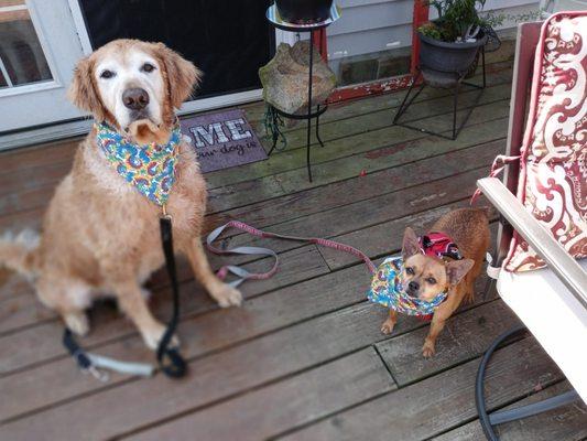 Olly and Jackson feeling good, showing off their new hairdo after their spa day!