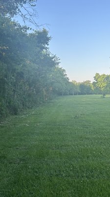 After pic of fence line underbrush clearing