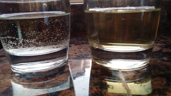 Healthy Sauvignon Blanc on left compared to oxydized sample on right that looks more like a Chardonnay.