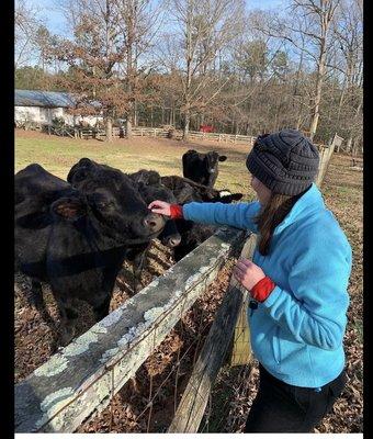 Me and some cows