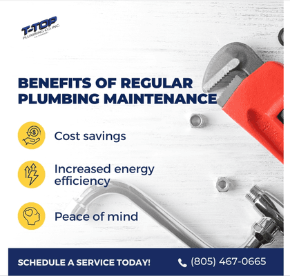 Benefits of regular Mantenance - T Top Plumbing