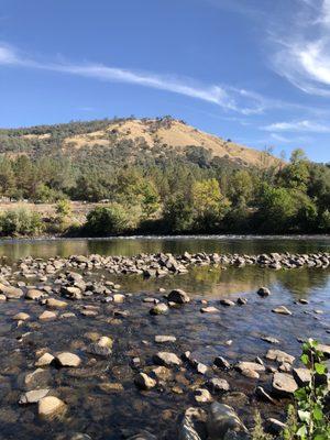 "Gold was discovered in them darn hills. " well actually along the River.