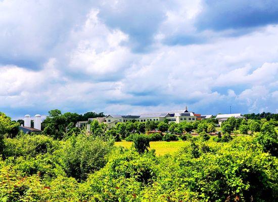 Episcopal Academy -- view of campus