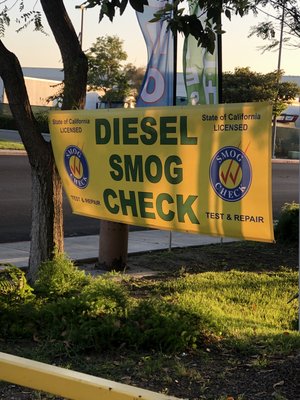 We smog Diesels