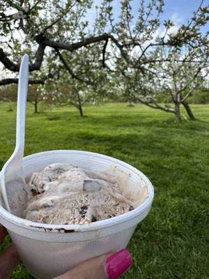 Rich Farm Ice Cream