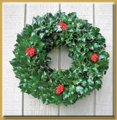 Green English Holly wreath