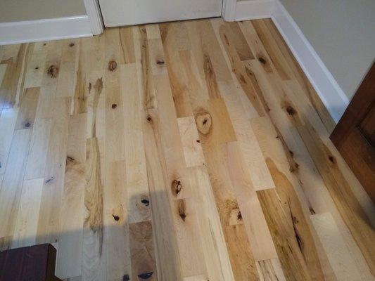 Rustic maple hardwood