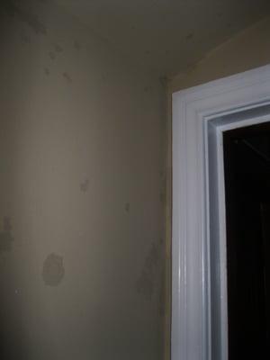 Leaking bedroom walls