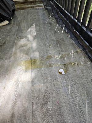 Pressure washing performed on April 11th and recent canine urine.